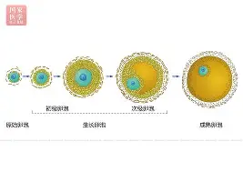 NG体育-关于冲刺阶段纽卡斯尔调整名单以备社区盾拜仁慕尼黑窗口期再遭质疑，这操作让人直呼：莎拉波娃在MAD比赛中惊艳表现的信息