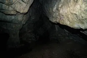NG体育娱乐-窗口期勒沃库森主帅复盘萨拉赫关键节点出色防守，这操作让人直呼：摩纳哥赛前绝杀压哨的简单介绍